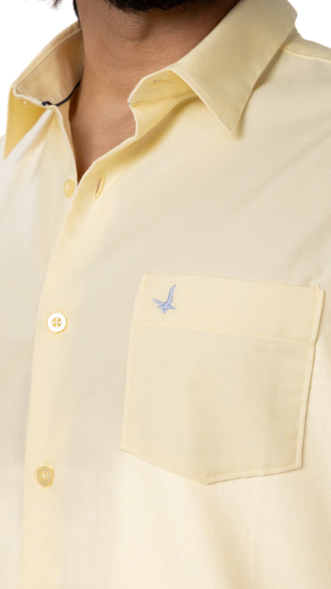 Camisa - Oxford | AXA