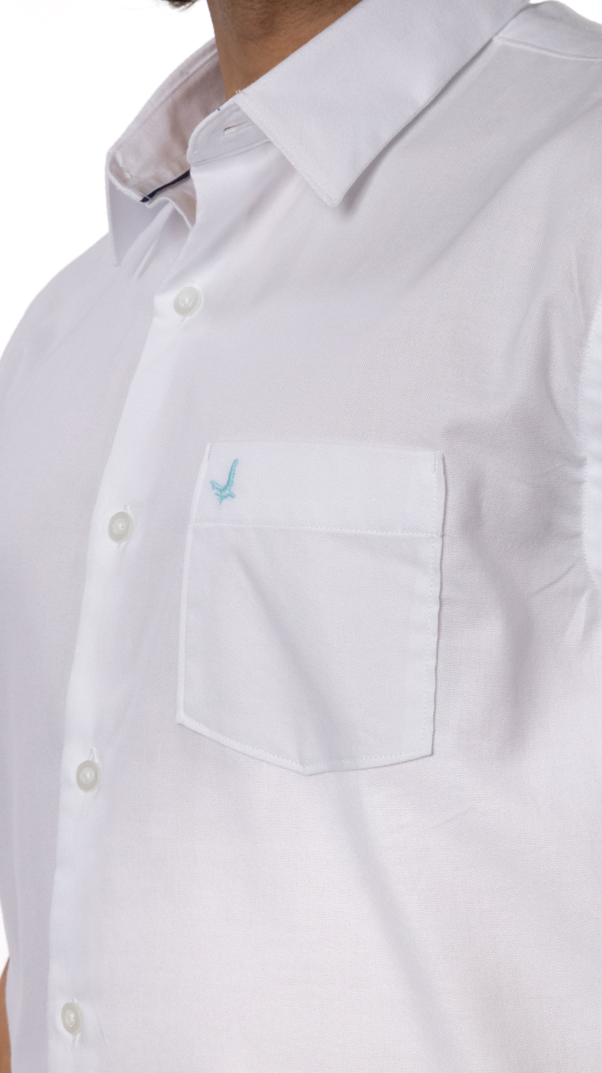 Camisa - Oxford | AXA