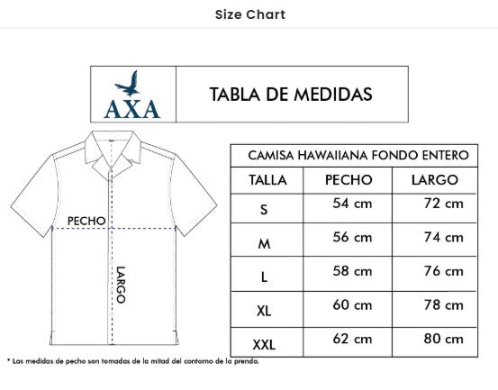 Camisa - Oxford | AXA